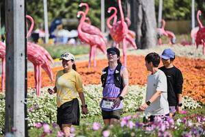 BIB: 
                            <button type="button" onclick="openModal(27793418)" class="btn btn-primary btn-sm float-right btn-popup" data-toggle="modal" data-target=".modal-high-quality">
                        <i class="fas fa-shopping-cart"></i> Add to Cart
                    </button>
                                            <button type="button" onclick="isThisMe(27793418, true)" class="btn btn-success btn-sm float-right btn-popup btn-isme hidden" data-toggle="tooltip" data-placement="bottom" title="นี่คือรูปของคุณใช่ไหม คลิกที่นี่เพื่อเอาเข้าอัลบั้ม">
                        <i class="fas fa-plus"></i> Add to album
                    </button>
                    <button type="button" onclick="isThisMe(27793418, false)" class="btn btn-warning btn-sm float-right btn-popup btn-isnotme hidden">
                        <i class="fas fa-ban"></i> Remove from album
                    </button>